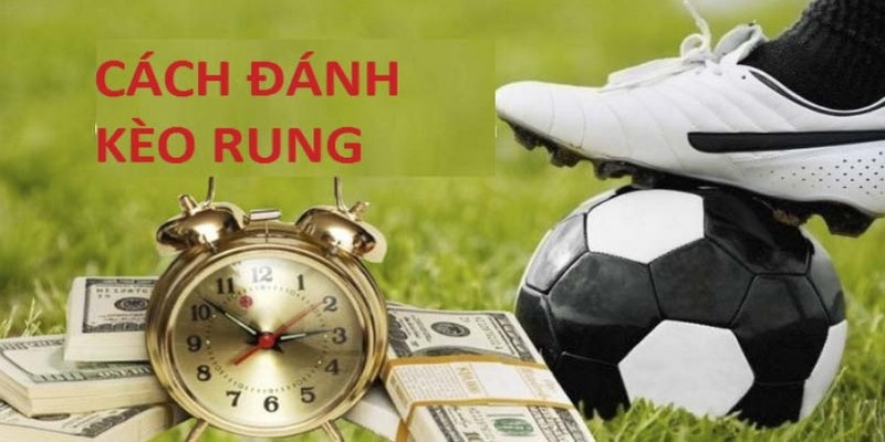 Hướng dẫn cách bắt kèo bóng rung