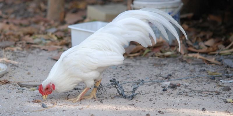 Thỏa mãn với đam mê mang đến bạn những điều thú vị