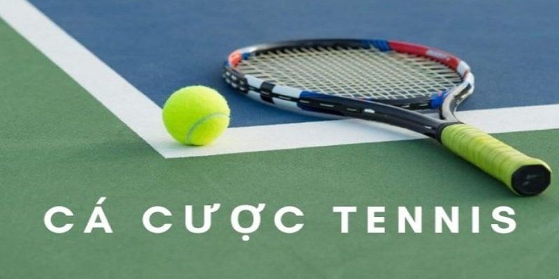 Tìm hiểu về tỷ lệ cá cược tennis hiện nay