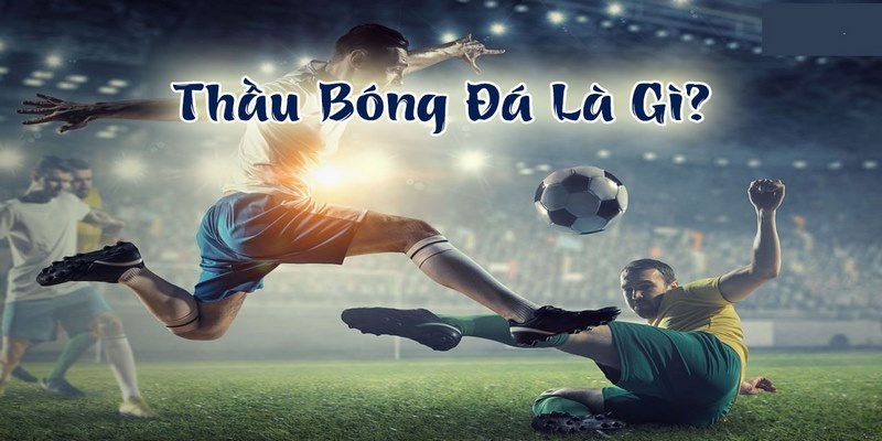 Thầu bóng đá là gì?